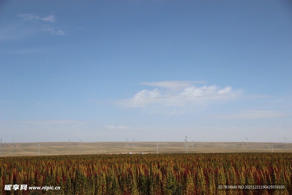 广袤田野上的蓝天与作物