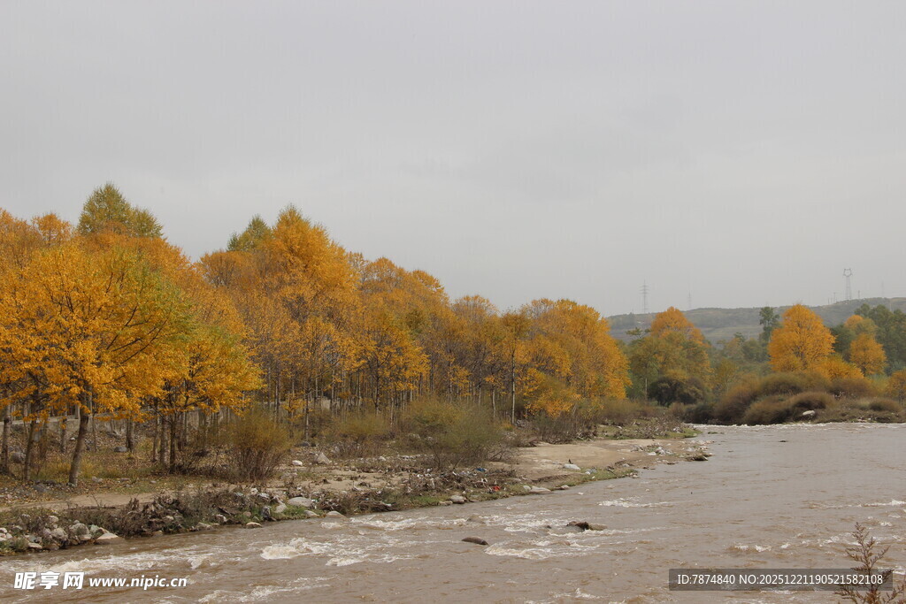 秋日河畔绚烂树林景色
