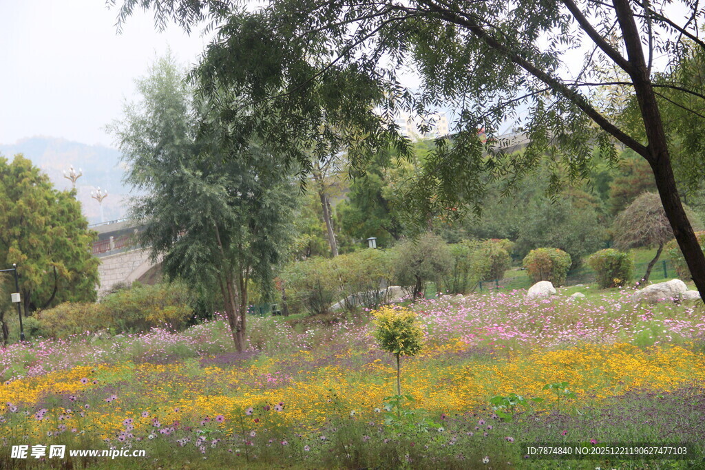春日繁花绿树的自然景致