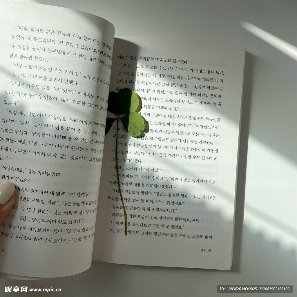 翻开书页间的幸运四叶草