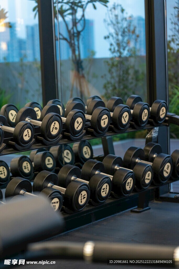 健身器械 健身房