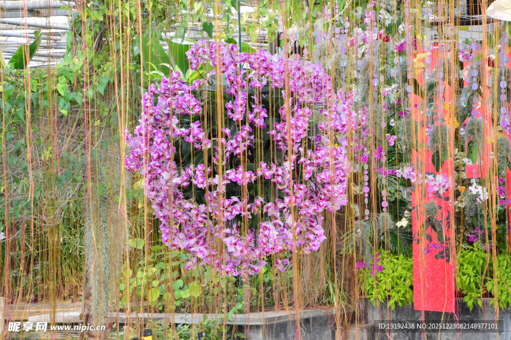 温室花境  