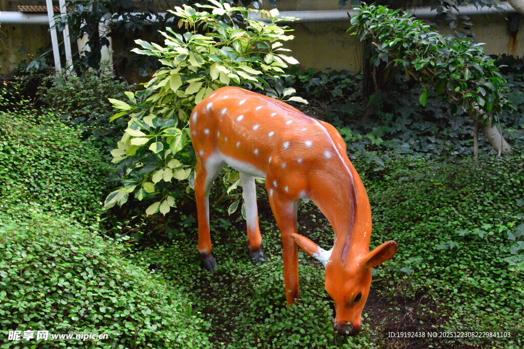 温室花境 