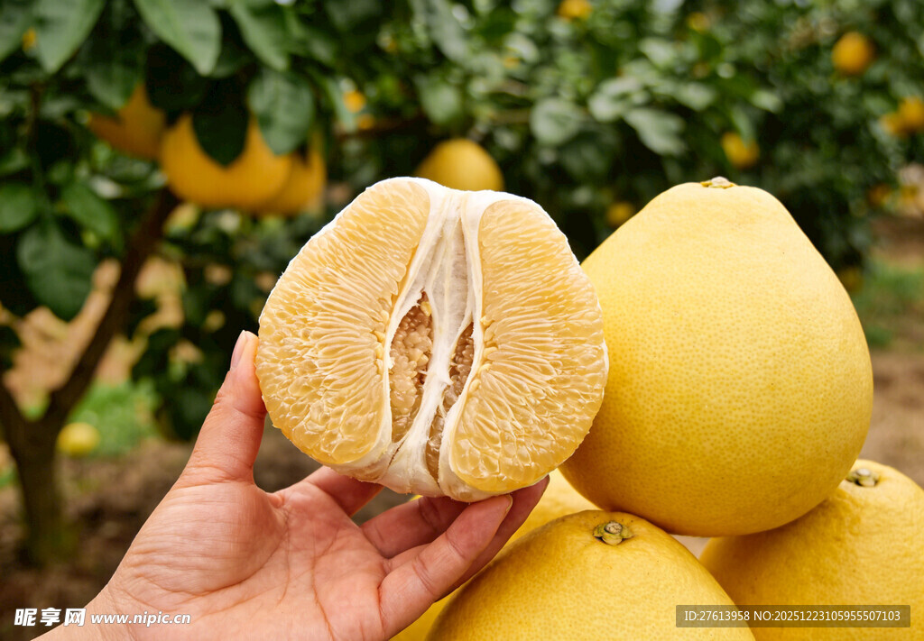手捧剥开的柚子