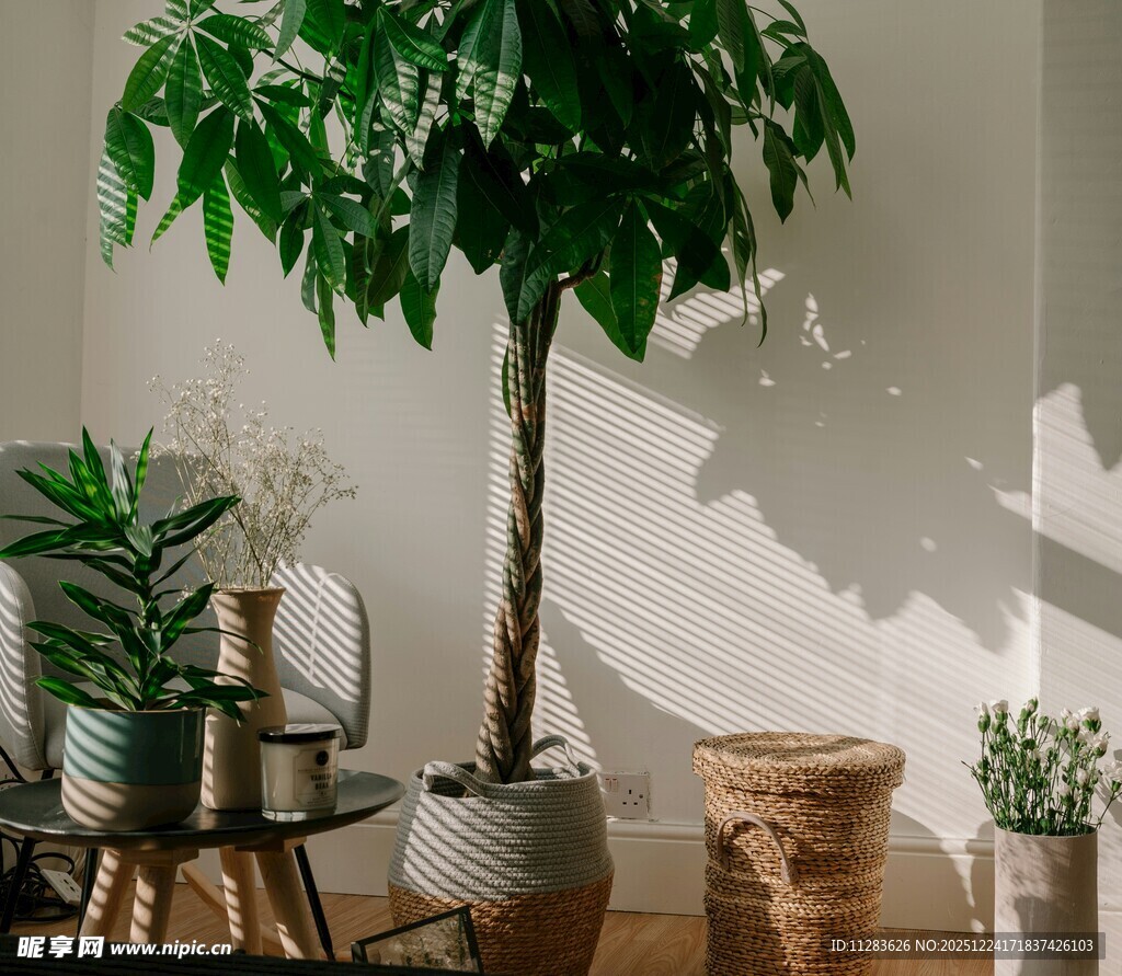 室内绿植组合