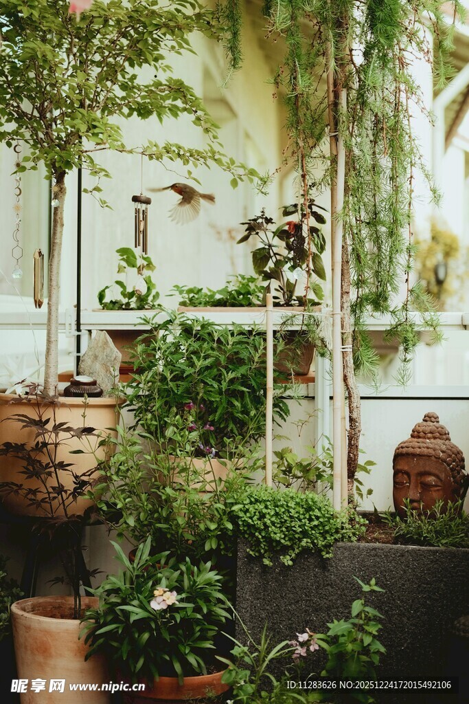 庭院绿植景观一角