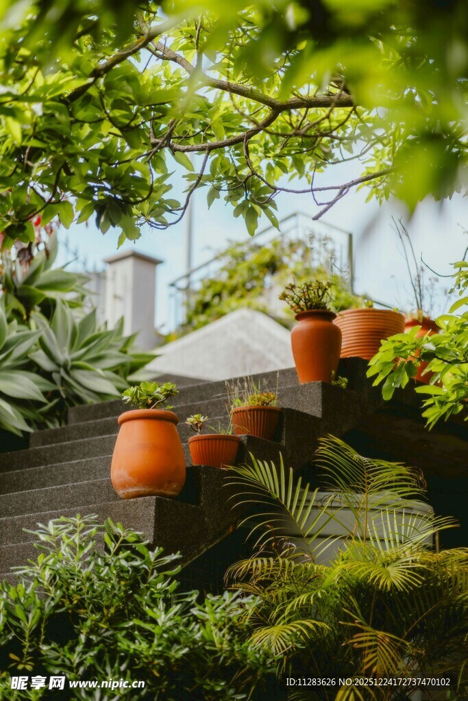 户外绿植环绕的休闲小景