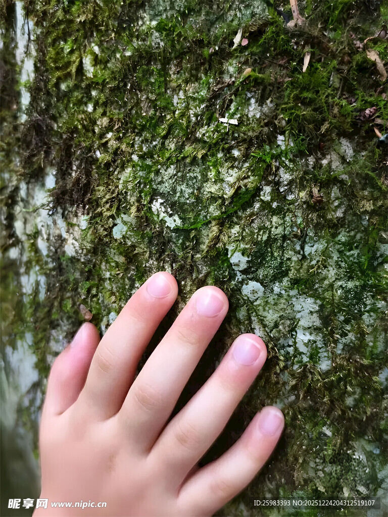 手触青苔