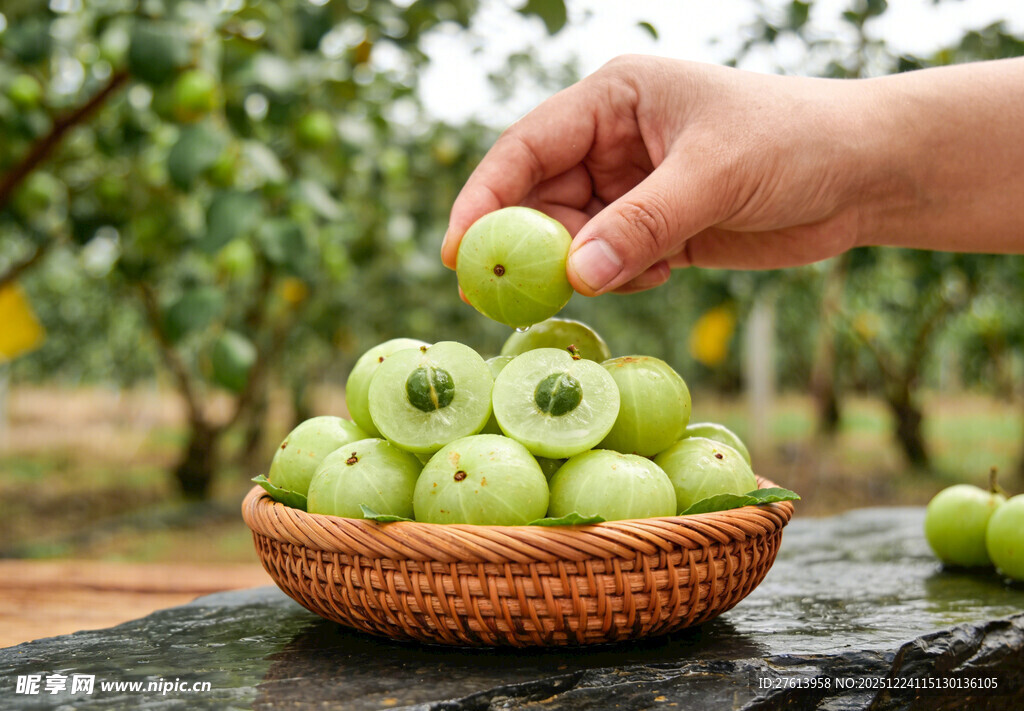 手拿油甘果于竹篮中