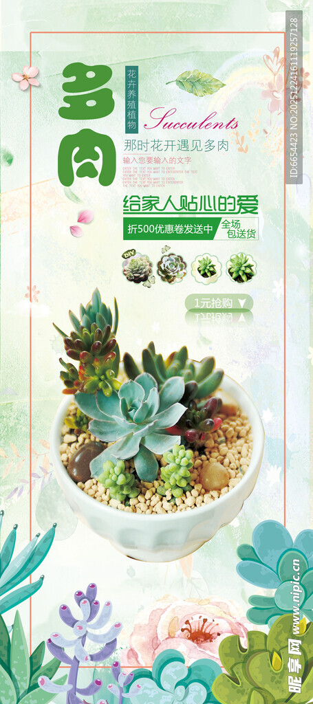 多彩多肉盆栽 绿意盎然花卉展架