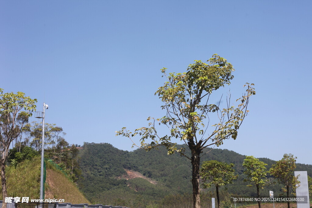 山间绿树蓝天风景图