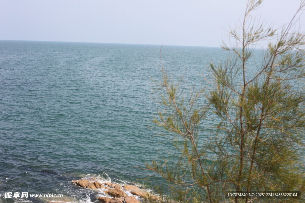 海边景致 绿植点缀海面