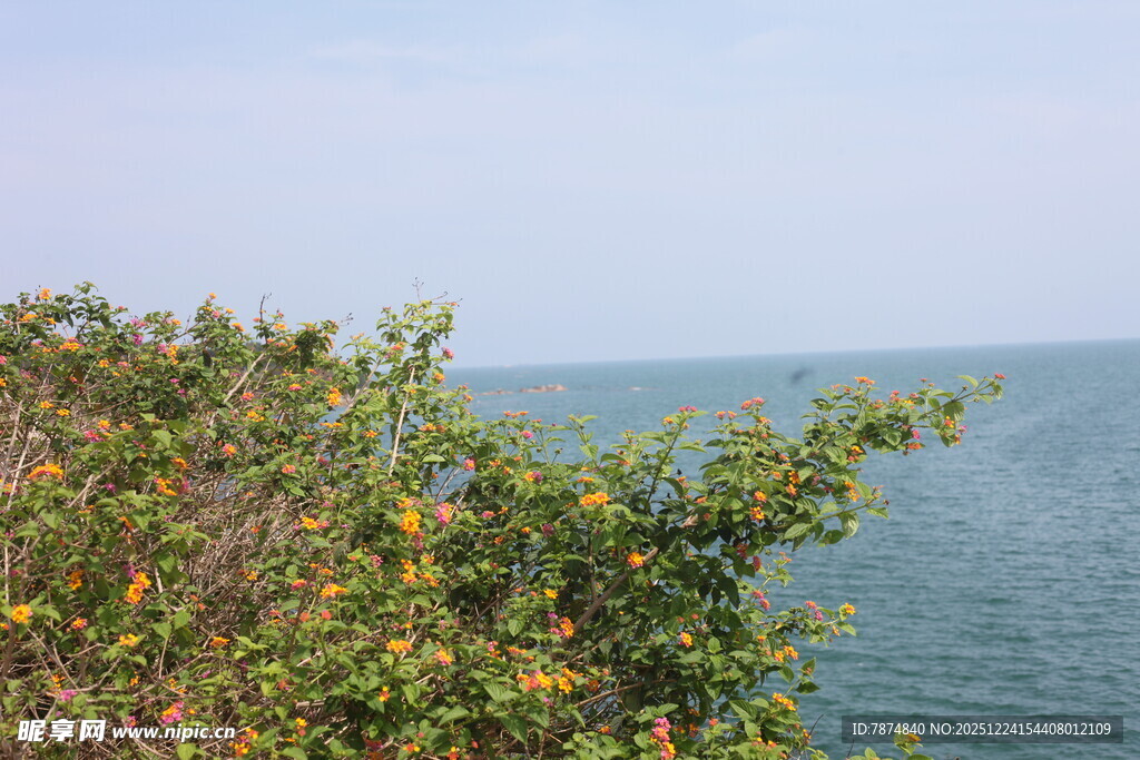 海边绿植景观