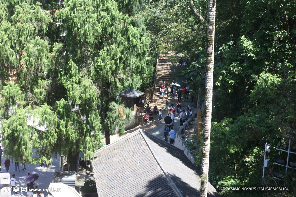 林间小屋隐于葱郁绿树间