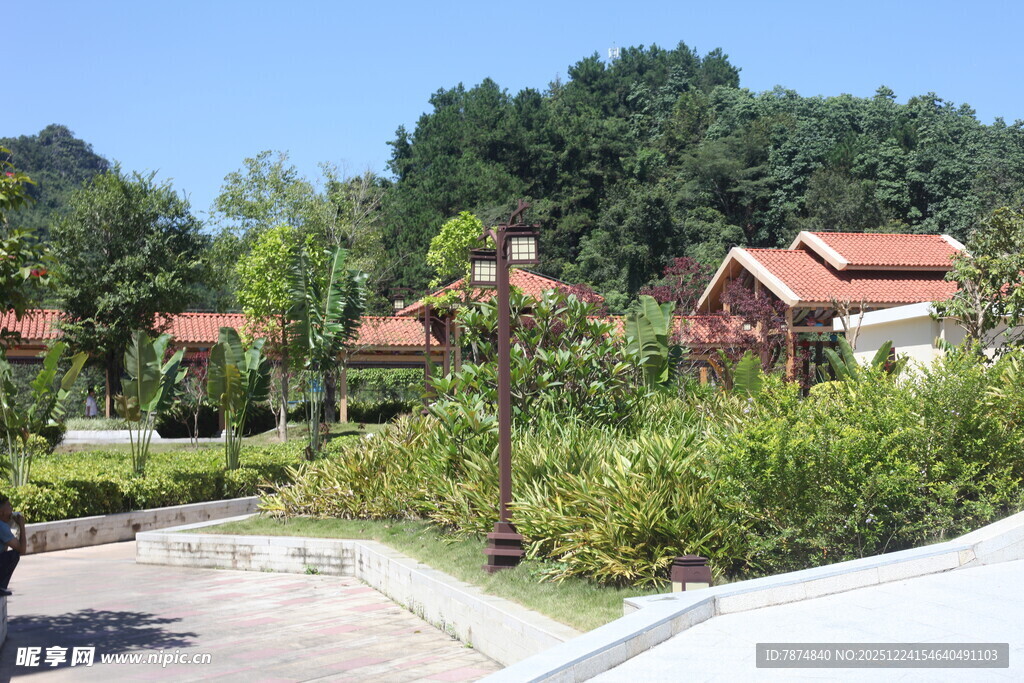 乡村美景 红顶房屋绿树环绕