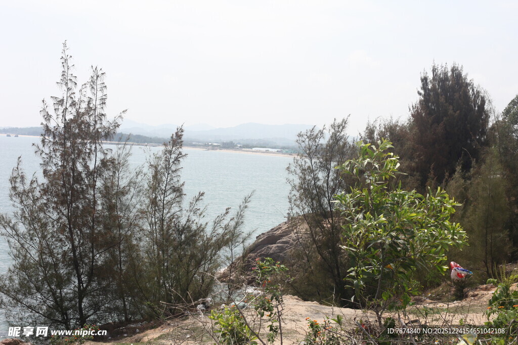 海边葱郁植被景观
