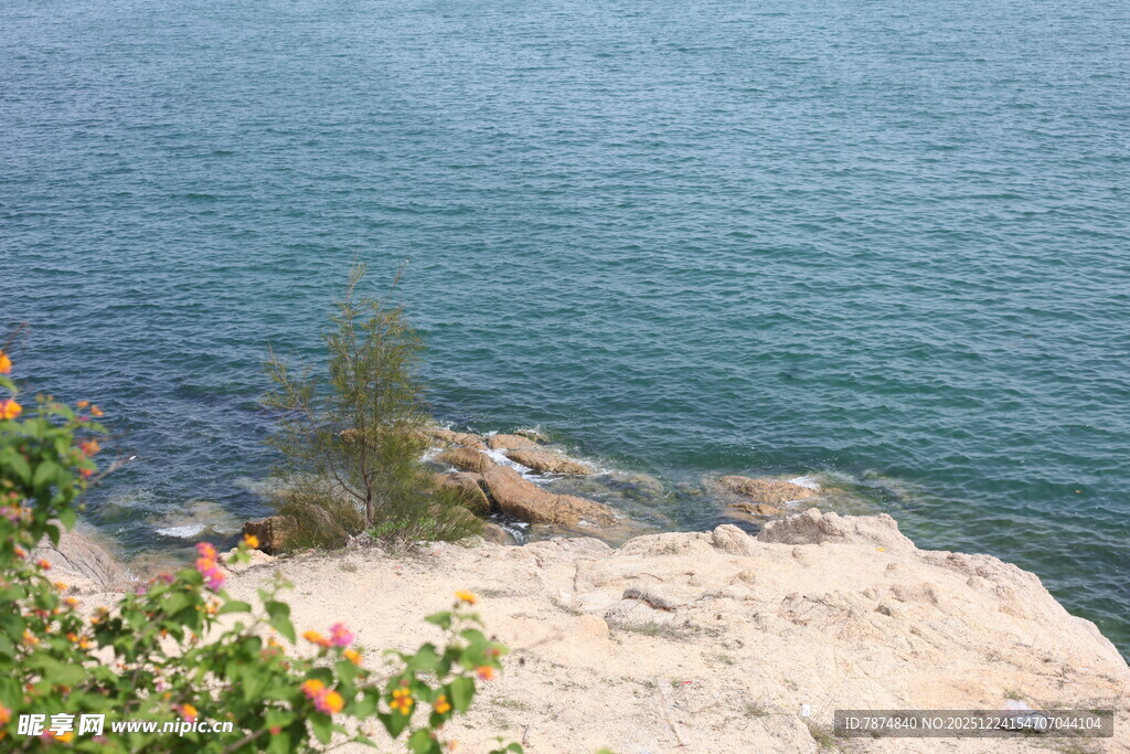 海边崖岸绿植与碧水景致