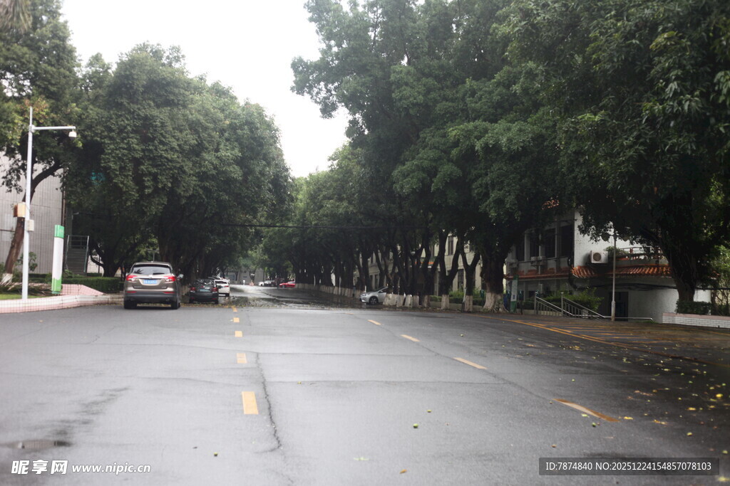 雨中静谧街道
