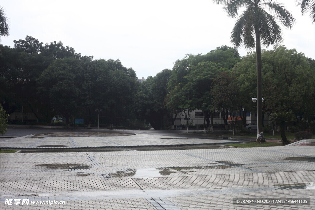 雨后校园空旷地面与绿树