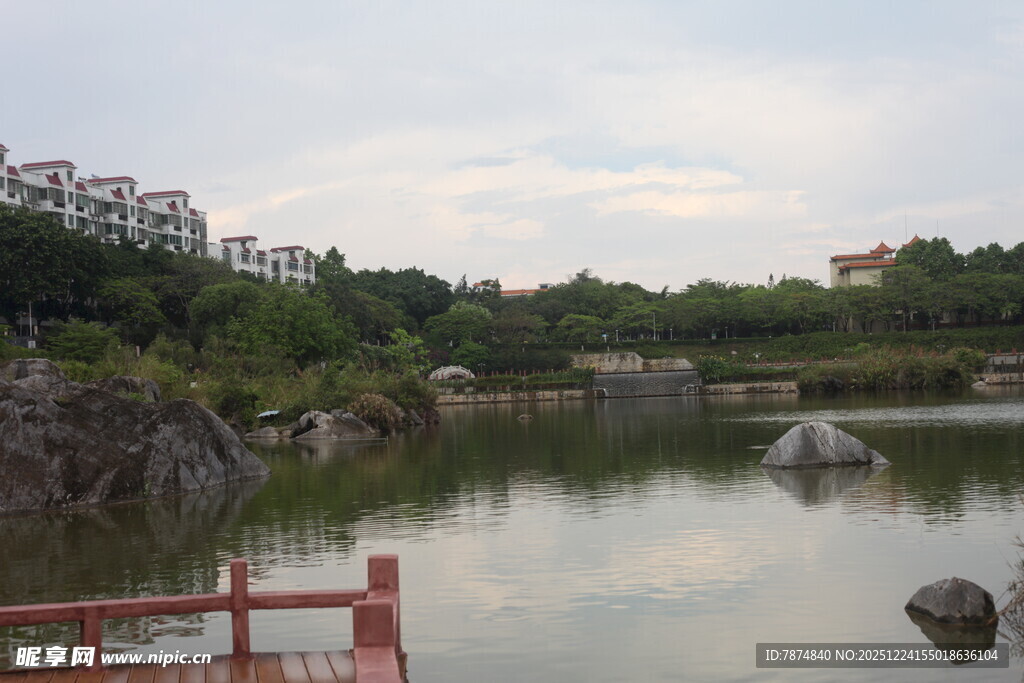 湖畔风光 宁静自然景致