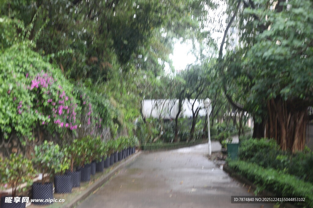 幽静绿植环绕的林间小道