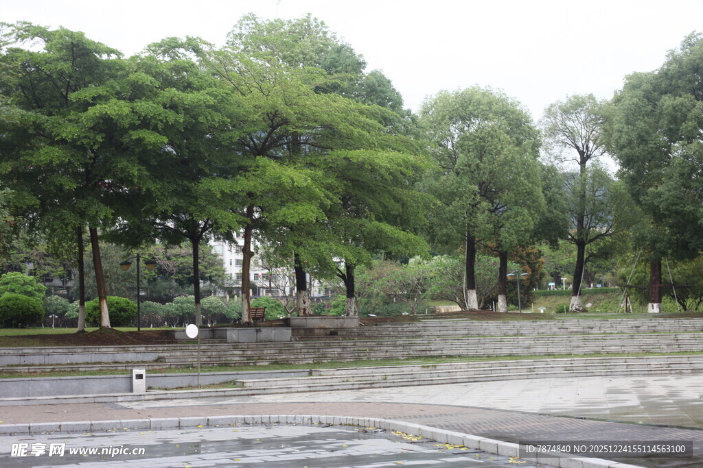 雨后公园的静谧景致
