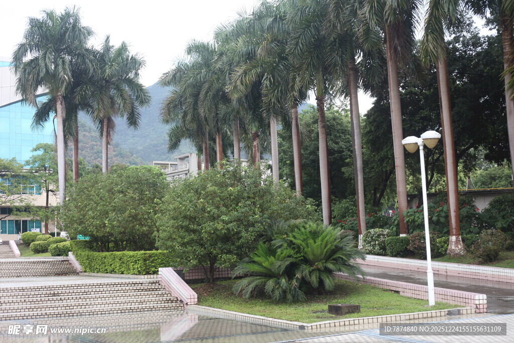 城市中的绿植景观