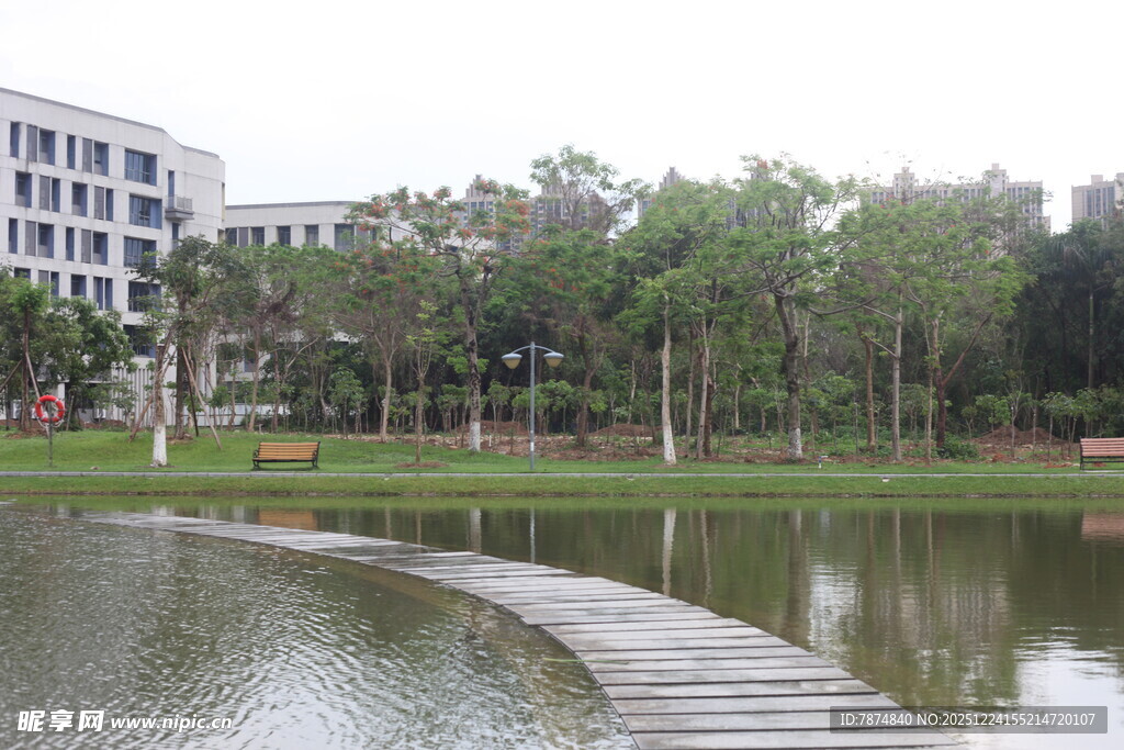 校园湖畔木栈道风景