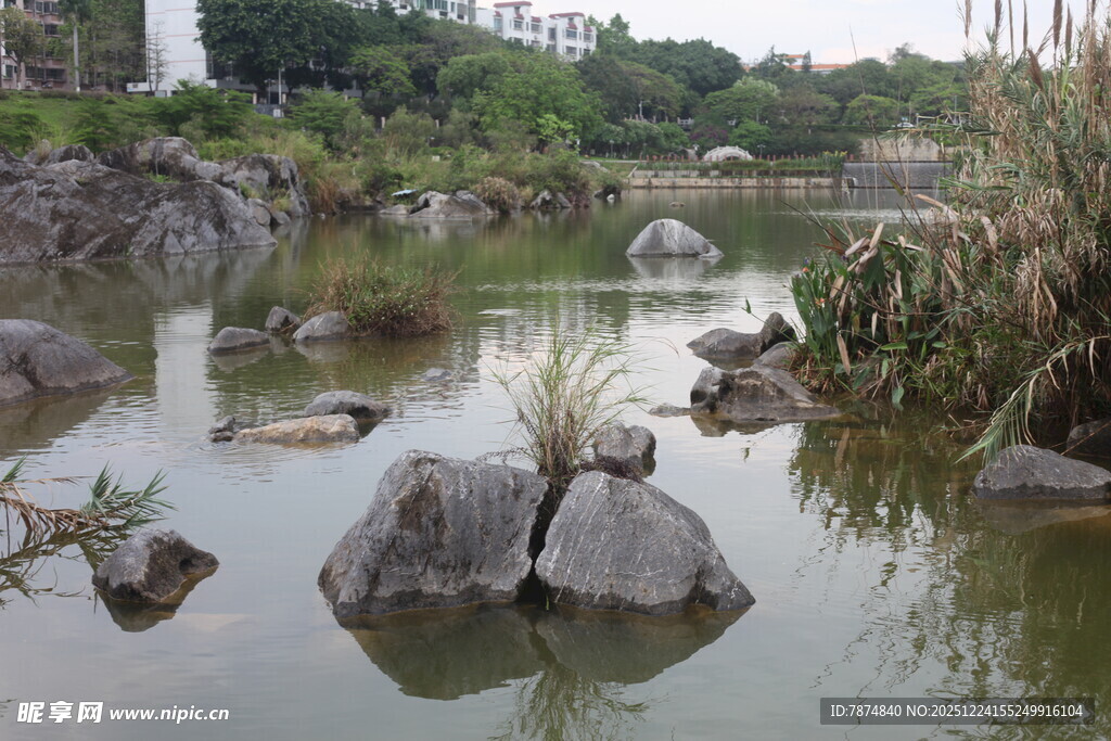 自然水景中的嶙峋怪石
