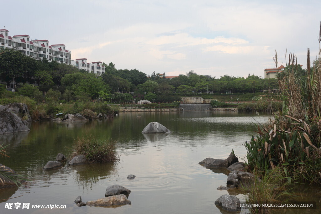 湖畔自然风光景致