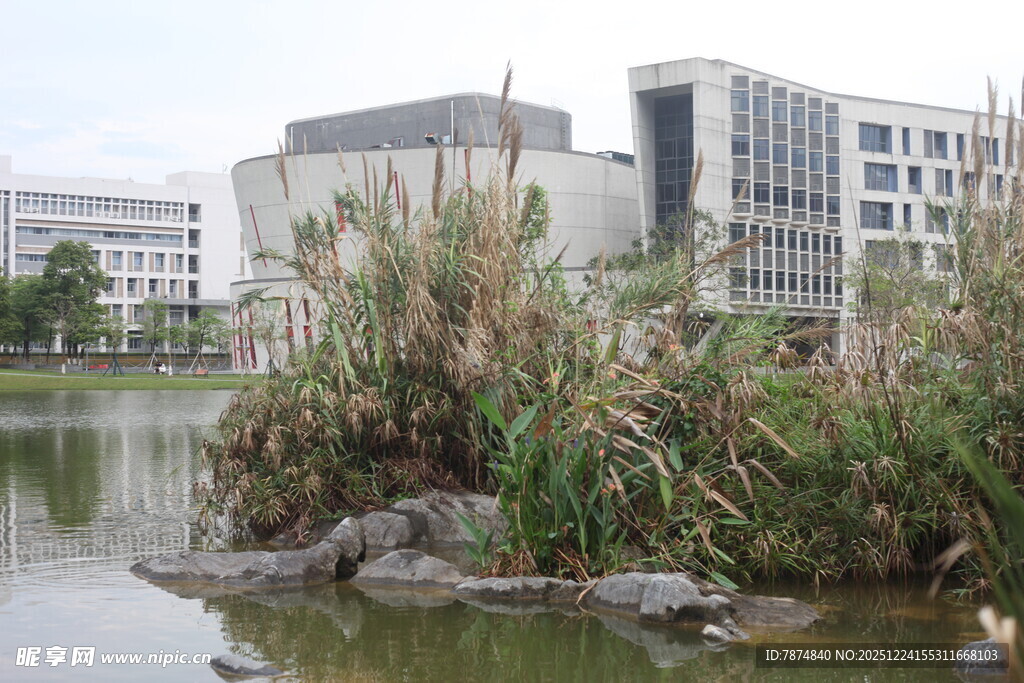 湖畔绿植与现代建筑景观