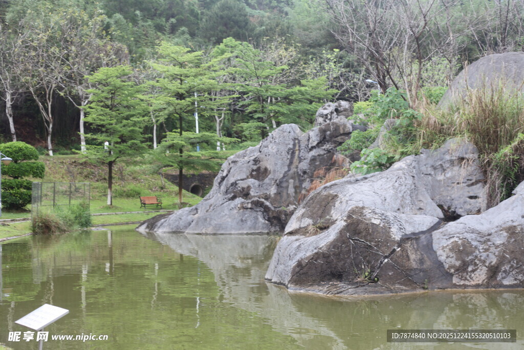 自然山水间的静谧池塘