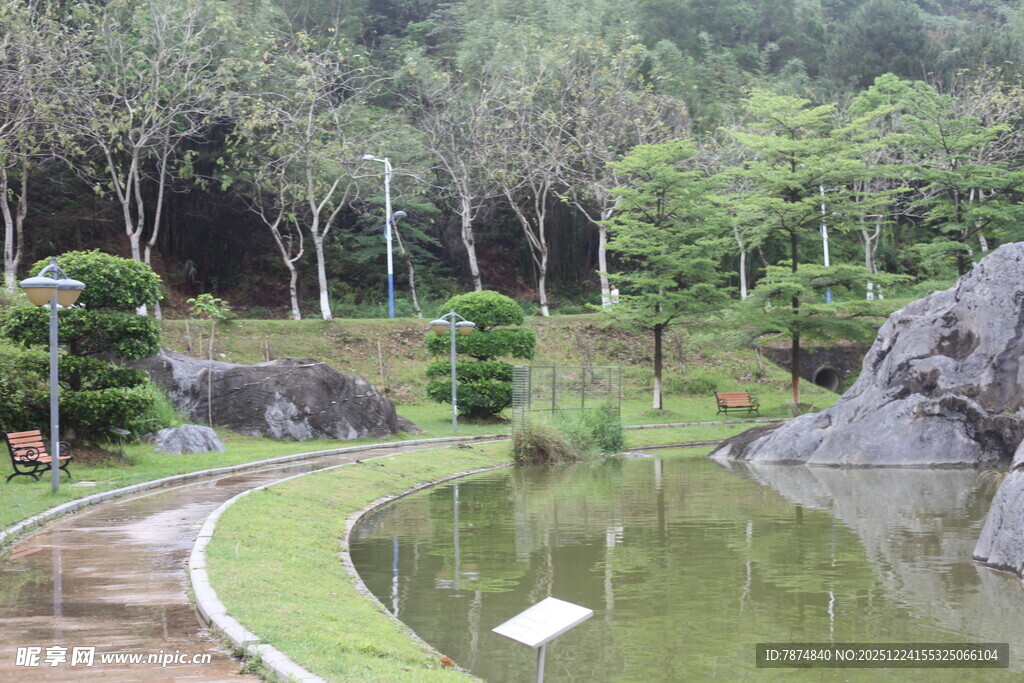 园林池塘边的自然景致