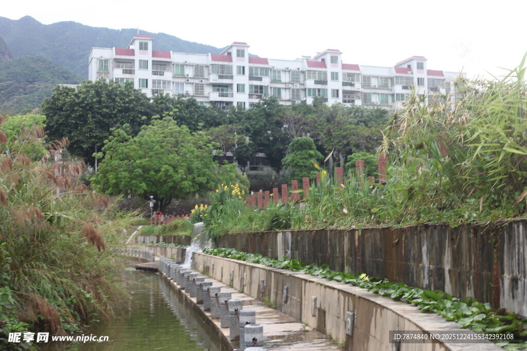 河畔绿植环绕的居民楼