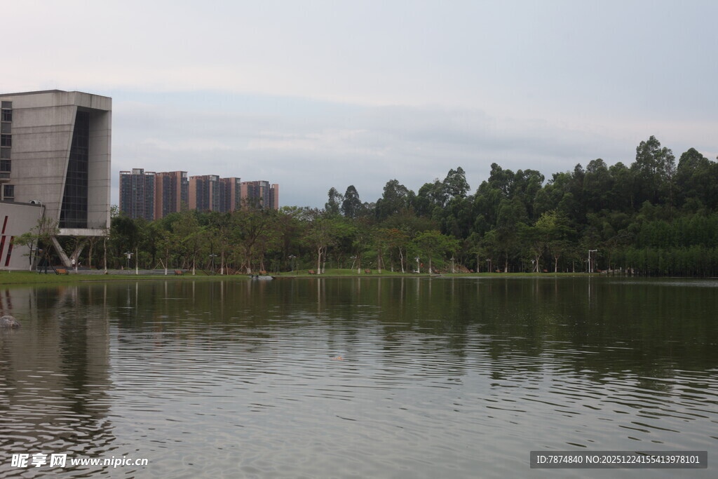 湖畔建筑与葱郁树林景观
