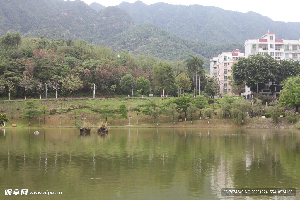 湖畔风光 远山绿树映碧水