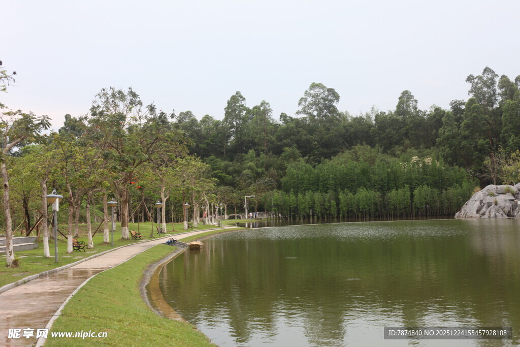 湖畔林荫道 静谧自然景