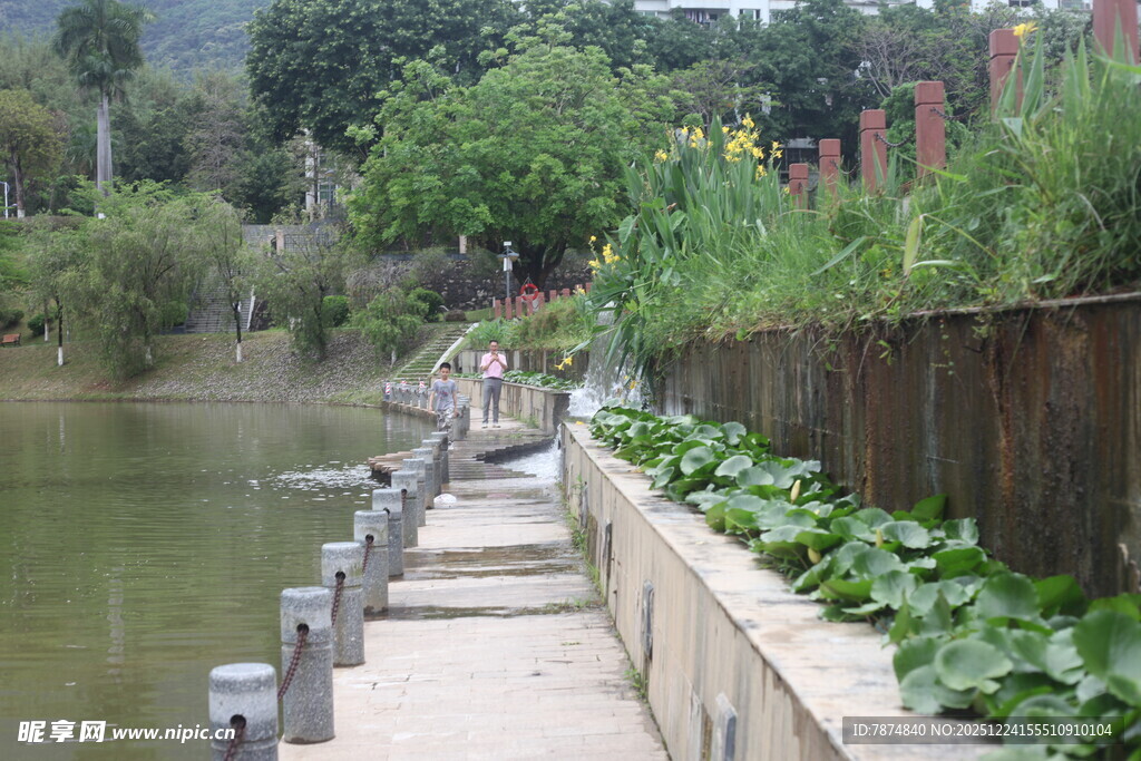 河边木质栈道风景