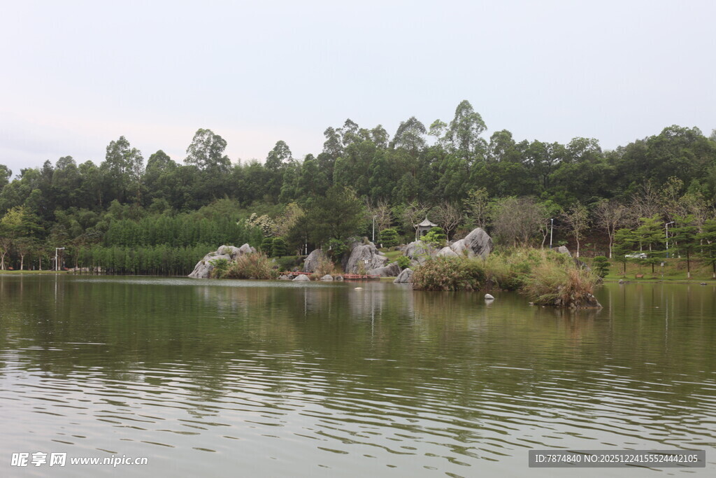 湖畔假山绿植风景图