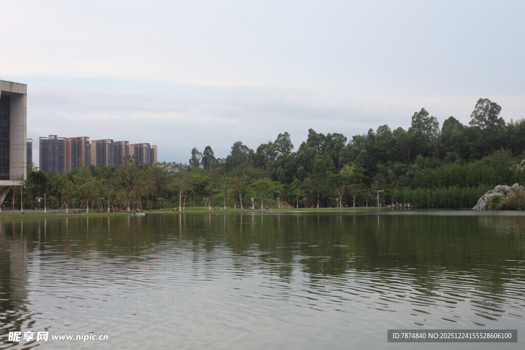 湖畔风光 城市与自然交融