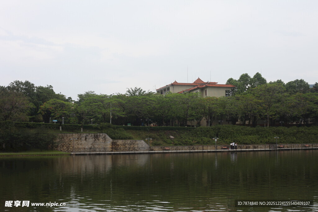 湖畔绿树环绕的静谧景致