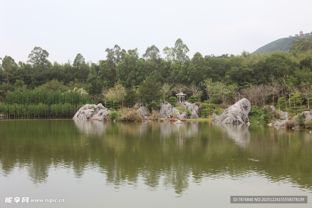 湖畔奇石与葱郁树林景观