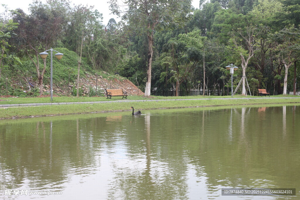 宁静湖畔的自然景致