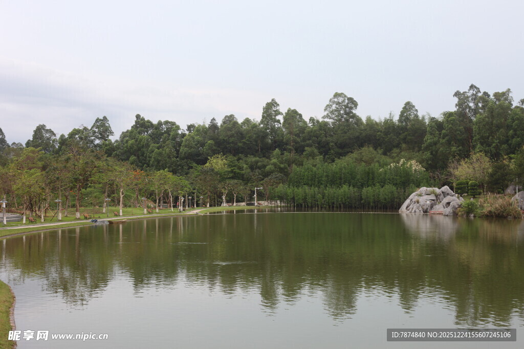 宁静湖畔绿树环绕美景