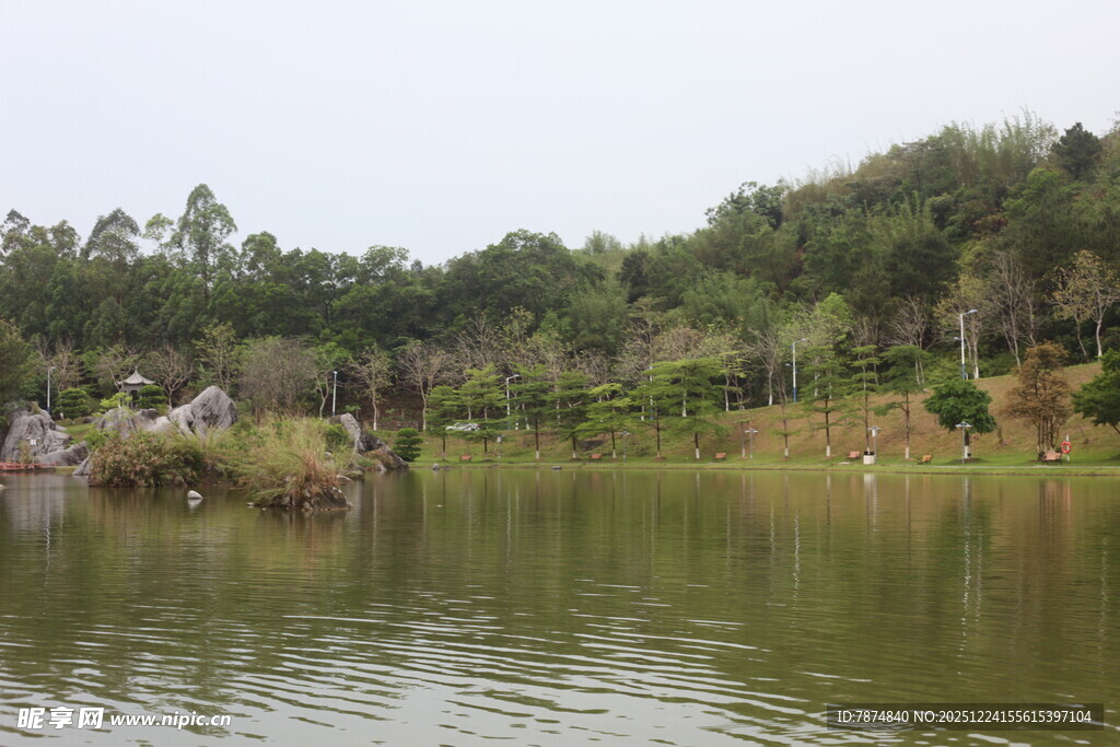 宁静湖畔的自然景致