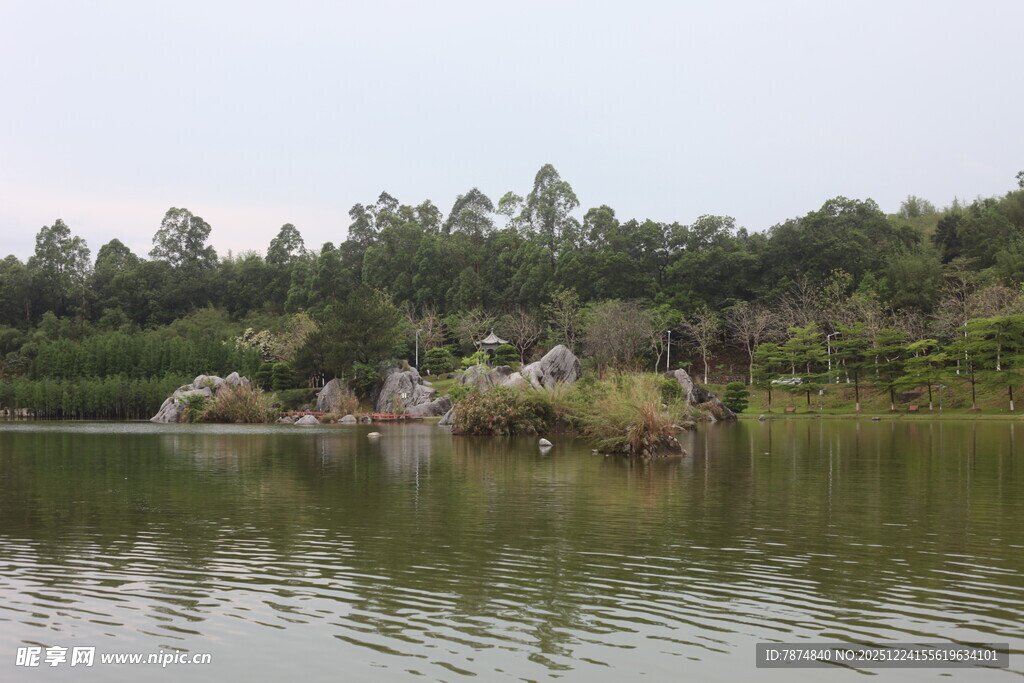 湖畔绿树环绕的宁静景致