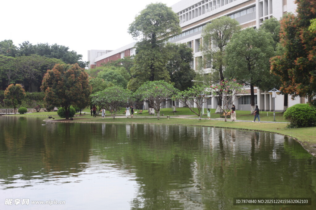 校园湖畔风景
