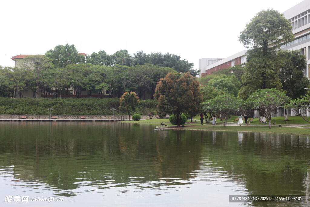 湖畔绿树环绕的宁静景致