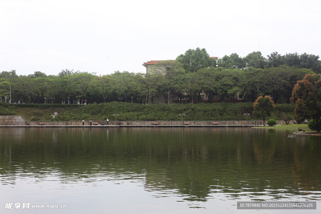 湖畔绿树成荫的宁静风光