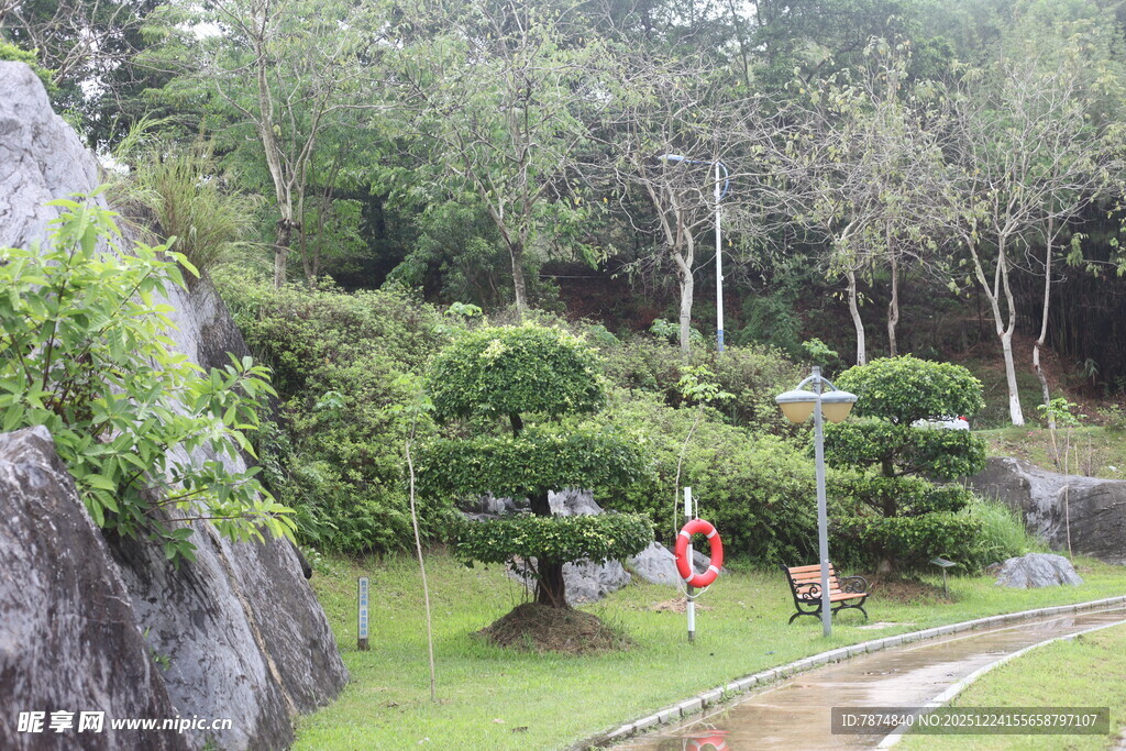 园林景观绿意盎然